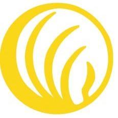 NAMICampusUSFSP's profile picture. 