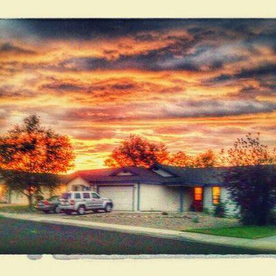 legofun202's profile picture. Like soccer ⚽
Classic Cars