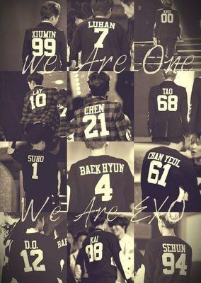 exo we are one ile ilgili görsel sonucu