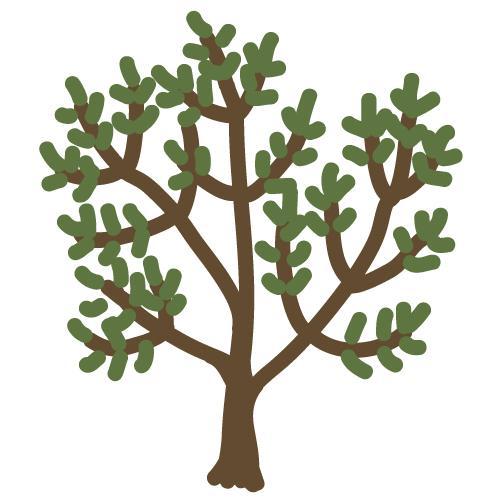 olive2sky's profile picture. 