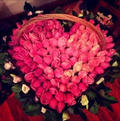 anam_khatoon's profile picture. I m a student