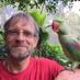 David Mclenachan (@avalon_fields) Twitter profile photo David Mclenachan (@avalon_fields) Twitter profile photo