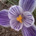 Eric Page - @ChelanTechGuy - Twitter