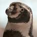 Pedro Penguin (@dxbpenguin) Twitter profile photo Pedro Penguin (@dxbpenguin) Twitter profile photo