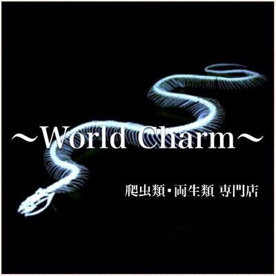 〜World Charm〜 爬虫類、両生類 販売、卸 2017年５月１日店舗オープン！営業時間「火、水、金15時〜21時営業」「土、日12時〜18時営業 」「月、木定休日」神奈川県座間市相模が丘3-33-9 小田急小田原線 小田急相模原駅徒歩6分 動保第220046号 クレジット、QRでの決済できます！