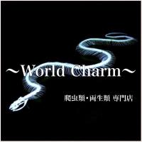 〜World Charm〜 (@worldcharm1) Twitter profile photo