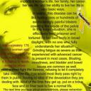 Sam Betsy8 butler - @Betsy8Sam - Twitter