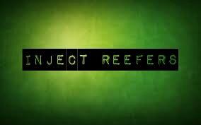 LeagueReplay's profile picture. Just a normal guy trying to get elo.