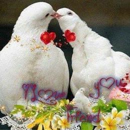 52O5Iosli68kbKB's profile picture. ‏‏35972135‏‏‏‏‏‏05 بنات فقط الي اصداقه الجاده