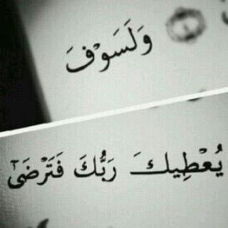 لا اسعى في المسيار وللتعداد