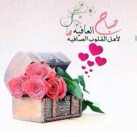 أم حسام  (@ada1435h) 's Twitter Profile