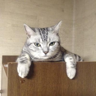Hisayansan's profile picture. 