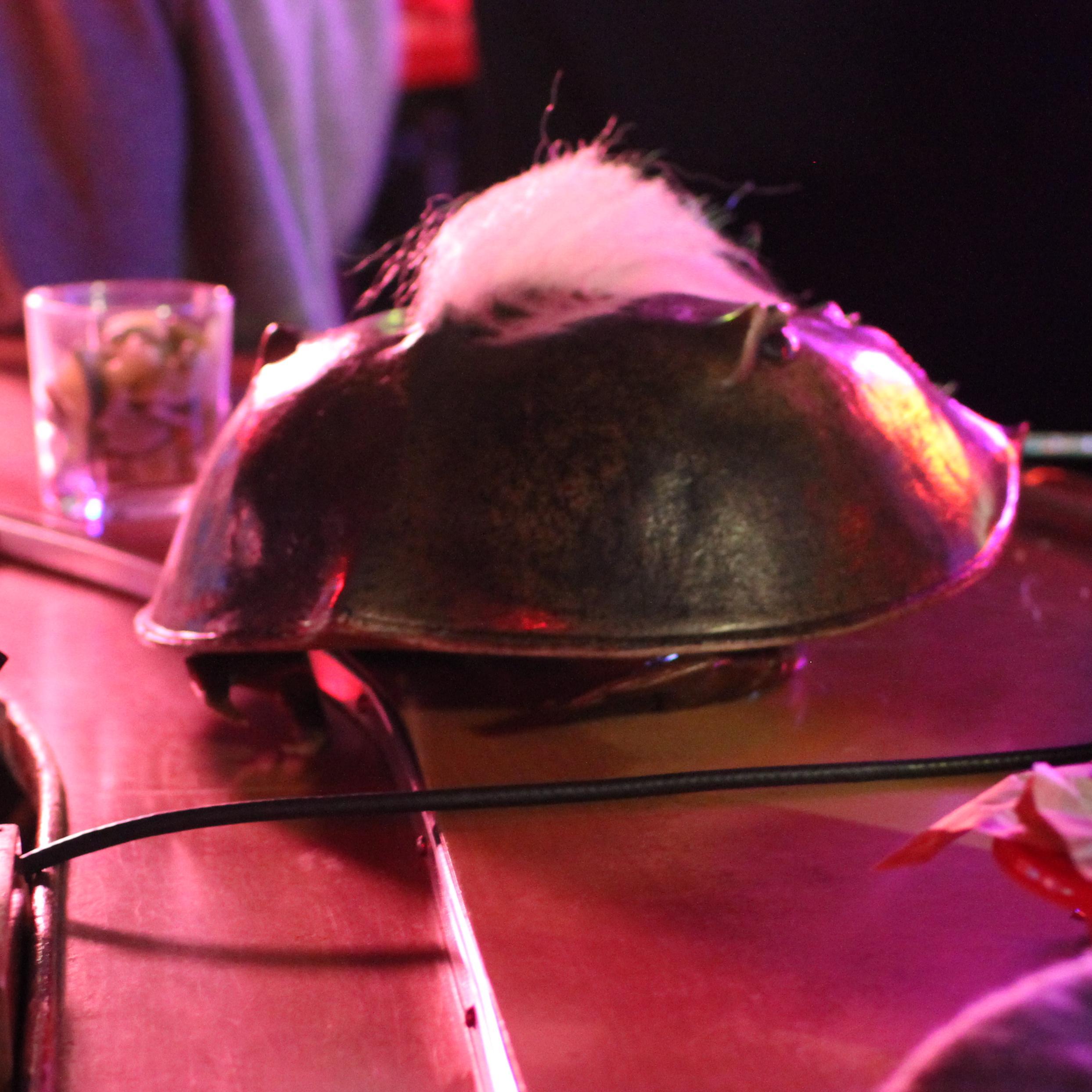 Crabsmovie's profile picture. Crabs! The Movie, Coming 2016