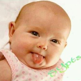 nedstark1271's profile picture. 