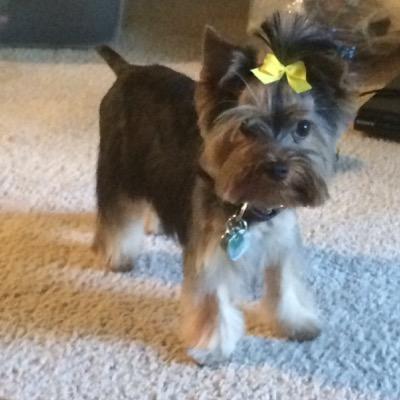 Kaykay_1183's profile picture. 