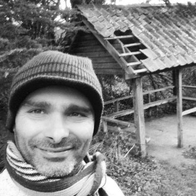 roberto14147698's profile picture. 