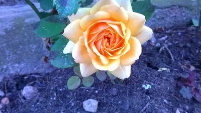 paulpeschel73's profile picture. Jeyjey .Bin, zumindest werde aktiv.