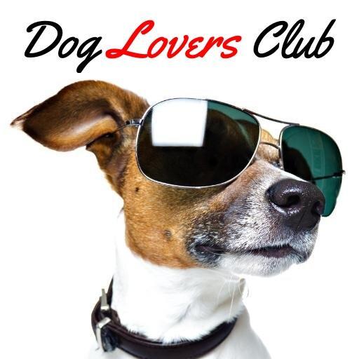 Are you a dog lover? Follow the Dog Lovers Club (@DogLuvClub)