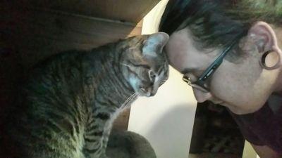 angrymiguel's profile picture. 