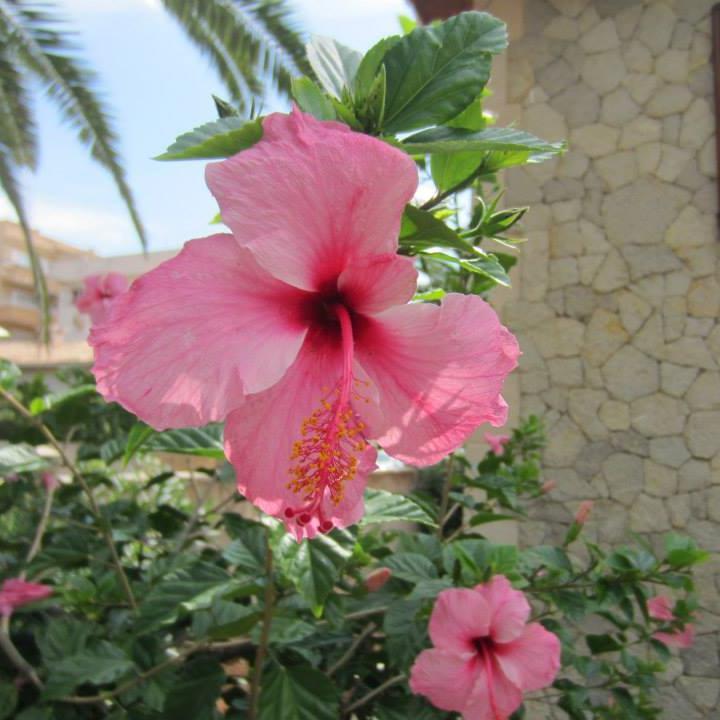 Weibsbild über 50#Bloggerin#Meine Seele ist faltenfrei#der Weg ist mein Ziel