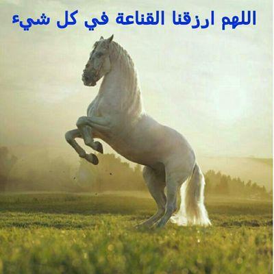 (مبرمج-مصمم-منتج)