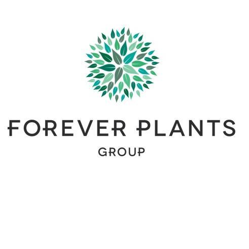Forever Plants. Een familiebedrijf, een innovatief bedrijf. Waar op de meest slimme en duurzame manier groene -en bloeiende kamerplanten worden gekweekt.