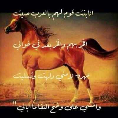 ‏‏لم اللغي متابعة احد 
من عيوب هذ البرنامج اللغى المتابعين