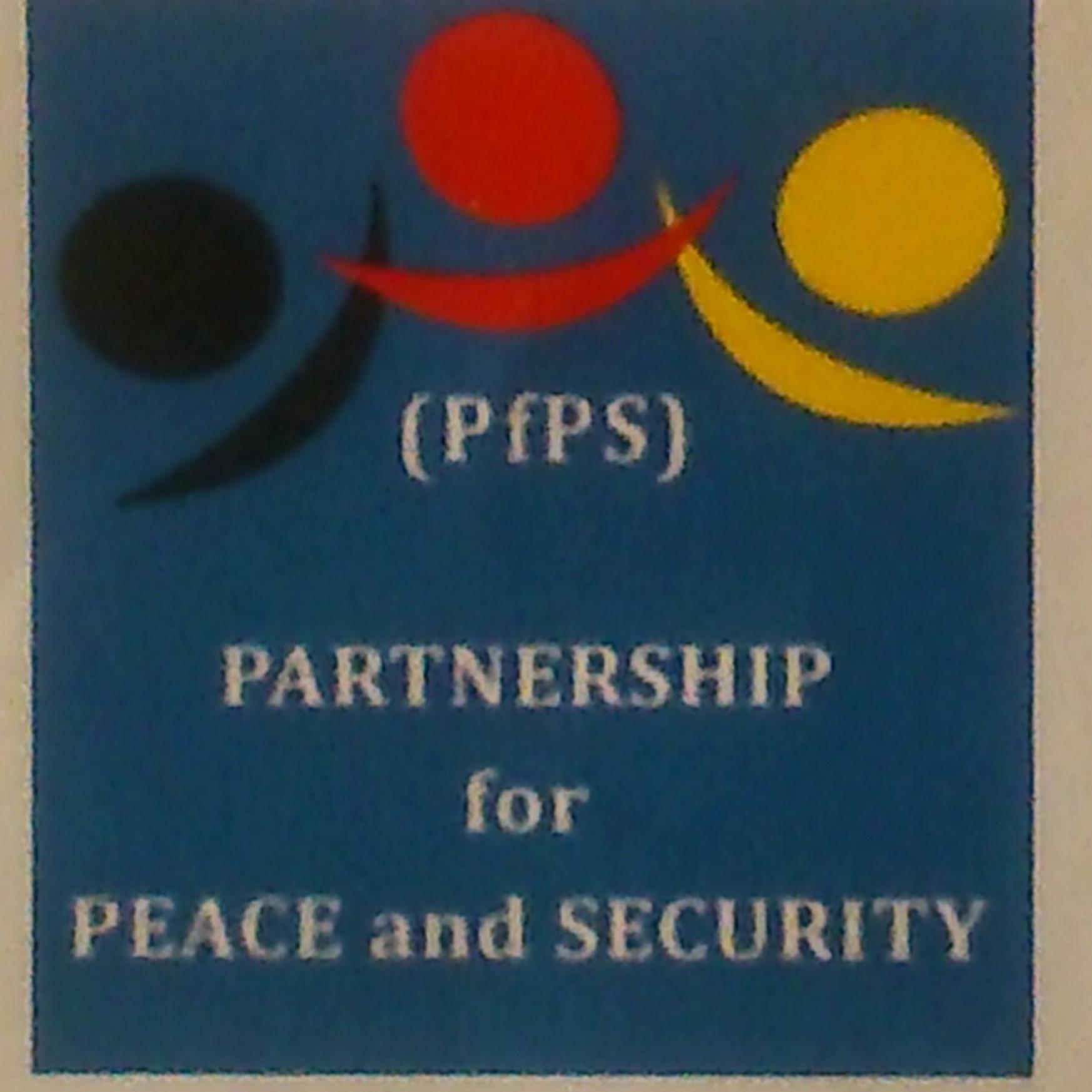 MISSION:
To be a leading platform for promoting peace and security in Kenya through Advocacy, Coordination, Collaboration, and Facilitation.