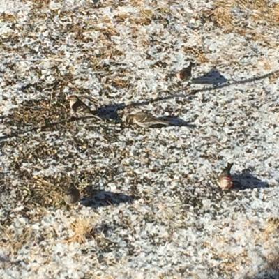 Jim190ebigd's profile picture. 