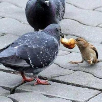 (كلمتان حبيبتان الى الرحمن خفيفتان على للسان ثقيلتان في الميزان) (( سبحان الله وبحمده سبحان الله العظيم ))...ا