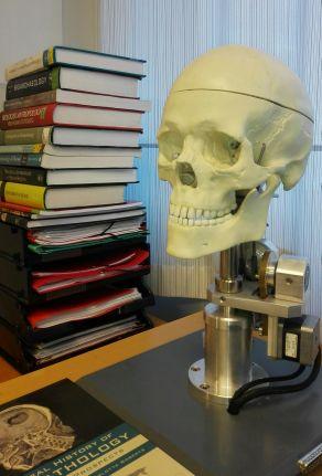 Ossuariet's profile picture. PhD Human osteology Bioarchaeology Forensic anthropology Paleopathology
