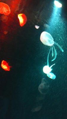 AyuzakK2's profile picture. 日々のできごとを気ままに書いてます。
あとはそのときに思ったこと。
#気ままに　#言えない気持ち　