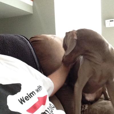 It's a dog eat dog world and I'm wearing milkbone underwear.