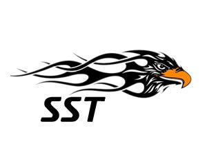 SSTSpitfire's profile picture. We are an international team of Speedriders and Speedflyers who do Competitions, Projekts, Videos and Photos with the Swing Spitfire