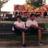 ivi_top097's profile image