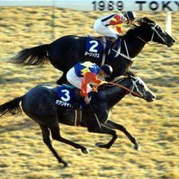 KeibanoUragawa's profile picture. 競馬はスタート以前に着順が決定されている興行。主催者は、そのシナリオを描き、騎手はそれを具現化する役者。競馬を裏側から観察し、その正体を明らかにしよう。