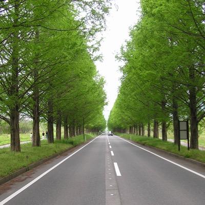 クラッシュロワイヤル 【ドラマスターへの道】でリーダーやってます！ドラマスターへの道は、毎日インできてフレンド対戦が好きな方を募集しております٩(๑❛ᴗ❛๑)۶