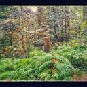 Annetta Taylor - @AnnettaTaylor6 - Twitter