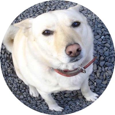 釣りを愛し、酒を愛し、オーディオを愛し・・・ 愛するモノが止めどなく増殖中の オッサンです。