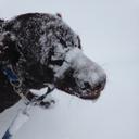 stacy fraser - @stacy15108093 - Twitter