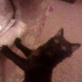 Gridlife_Crisis's profile picture. Trying to live a better life, one disaster at a time! Website on way...