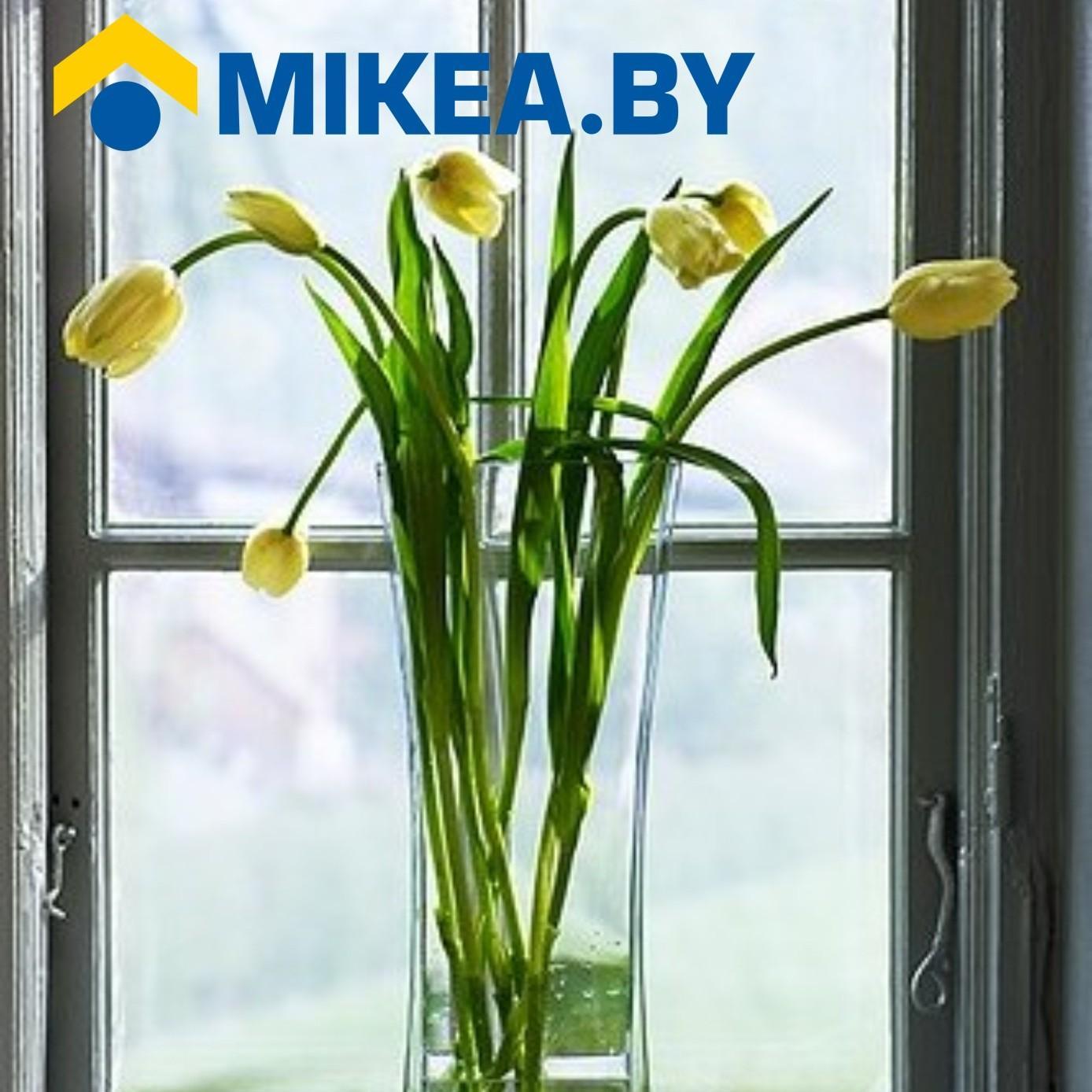 mikea_by's profile picture. 