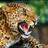 mjg1362's profile image