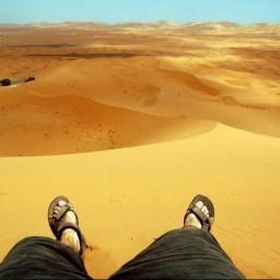 sjcorbot's profile picture. 