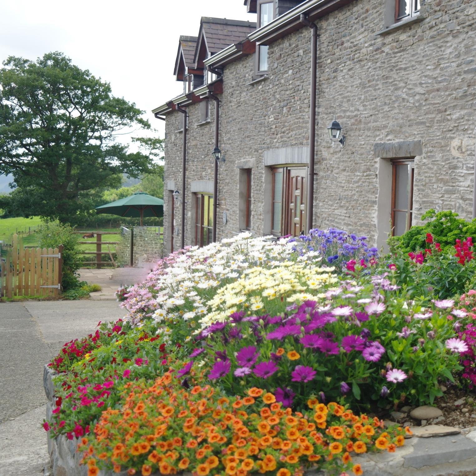 Two 5 star cottages near Lampeter. Dau fwthyn moethus 5 seren ger Llanbedr Pont Steffan, Ceredigion.
