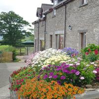 Gwarffynnon Cottages (@gwarffynnon) 's Twitter Profile Photo Gwarffynnon Cottages (@gwarffynnon) 's Twitter Profile Photo