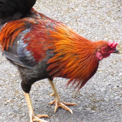 PeterSm88375660 Profile Picture