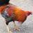 PeterSm88375660's profile image