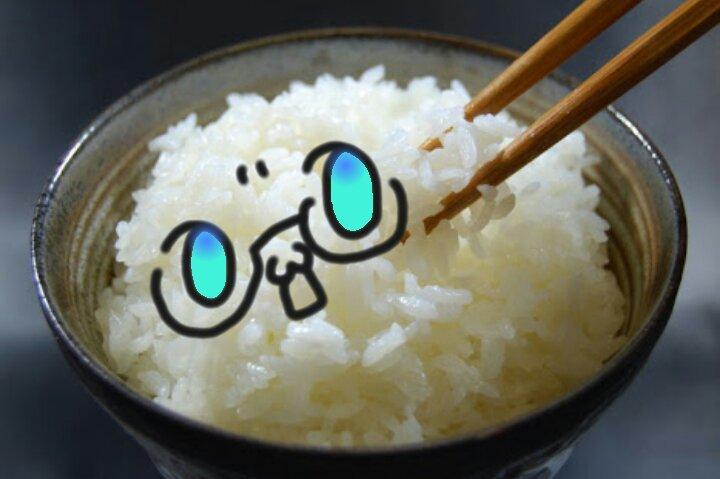 homo_taberu's profile picture. ホモが生きがいのただの腐女子。