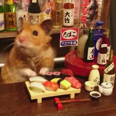 勝つ！やり続ける！